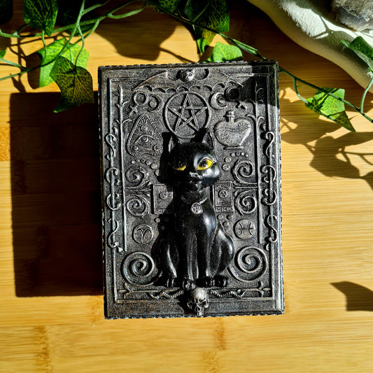 13x10cm Black Cat Spirit Tarot Box