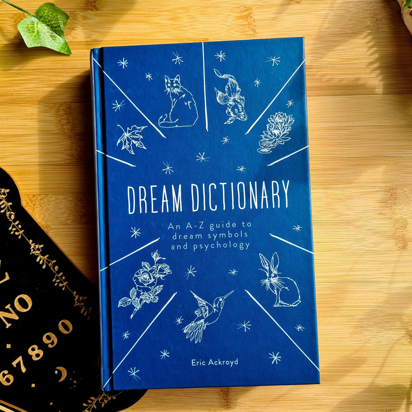 Dream Dictionary